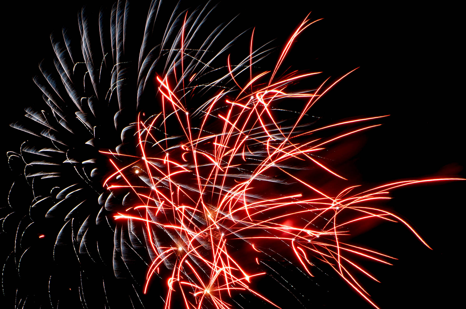 Red And White Fireworks
