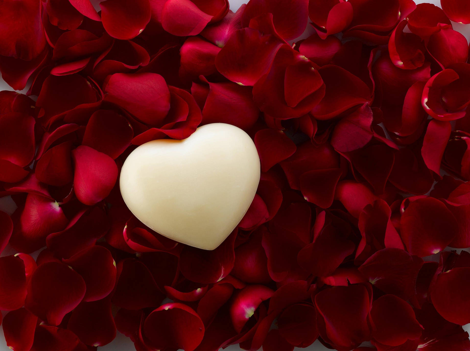 Red And White Heart In Rose Petals Background