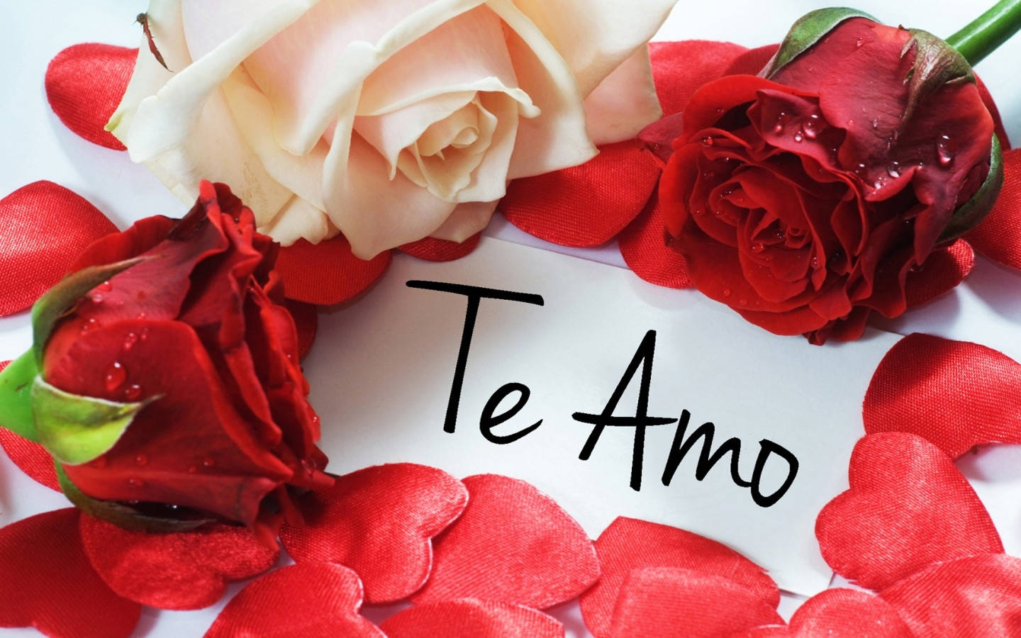 Red And White Rose Te Amo Background