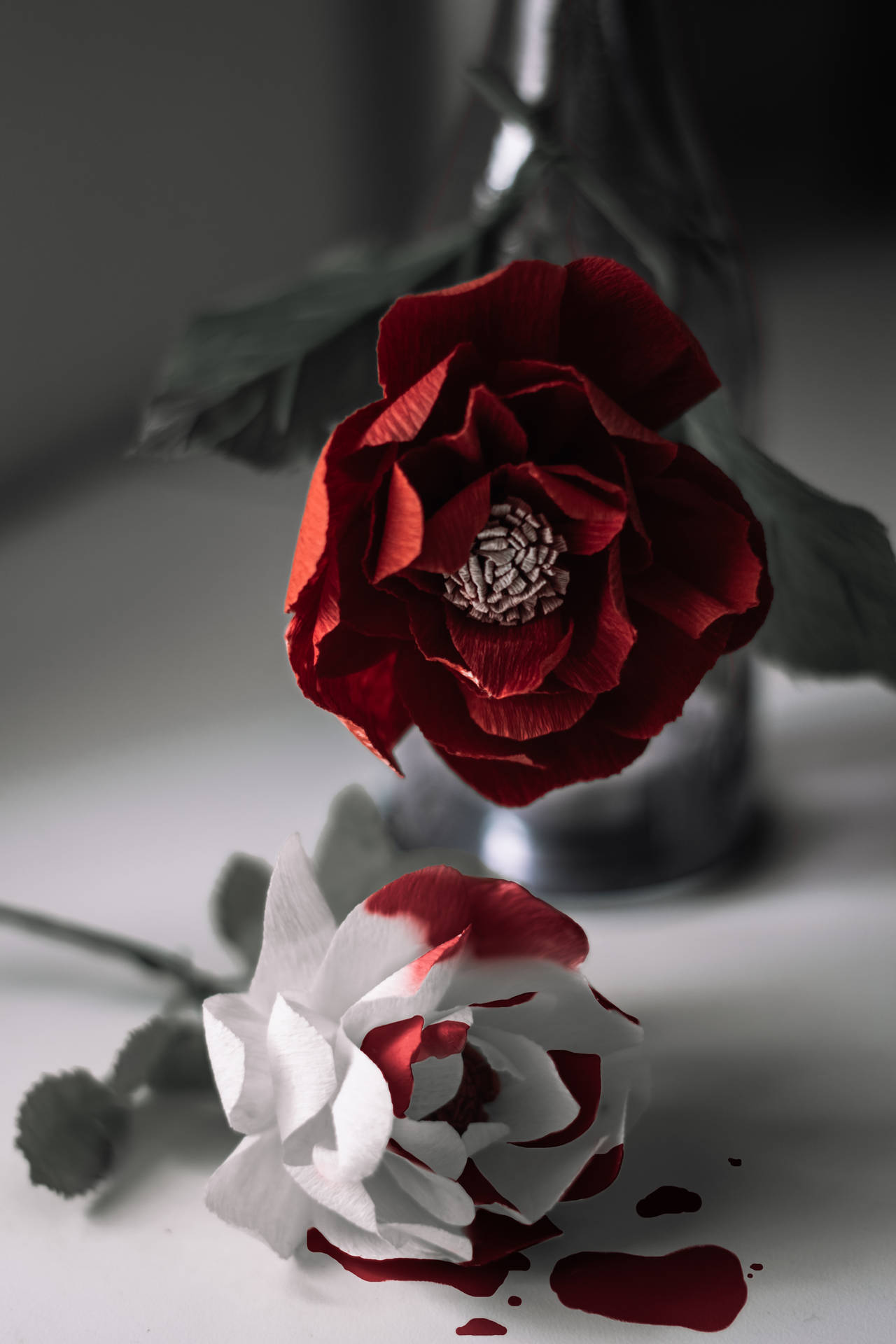 Red And White Roses With Blood Background