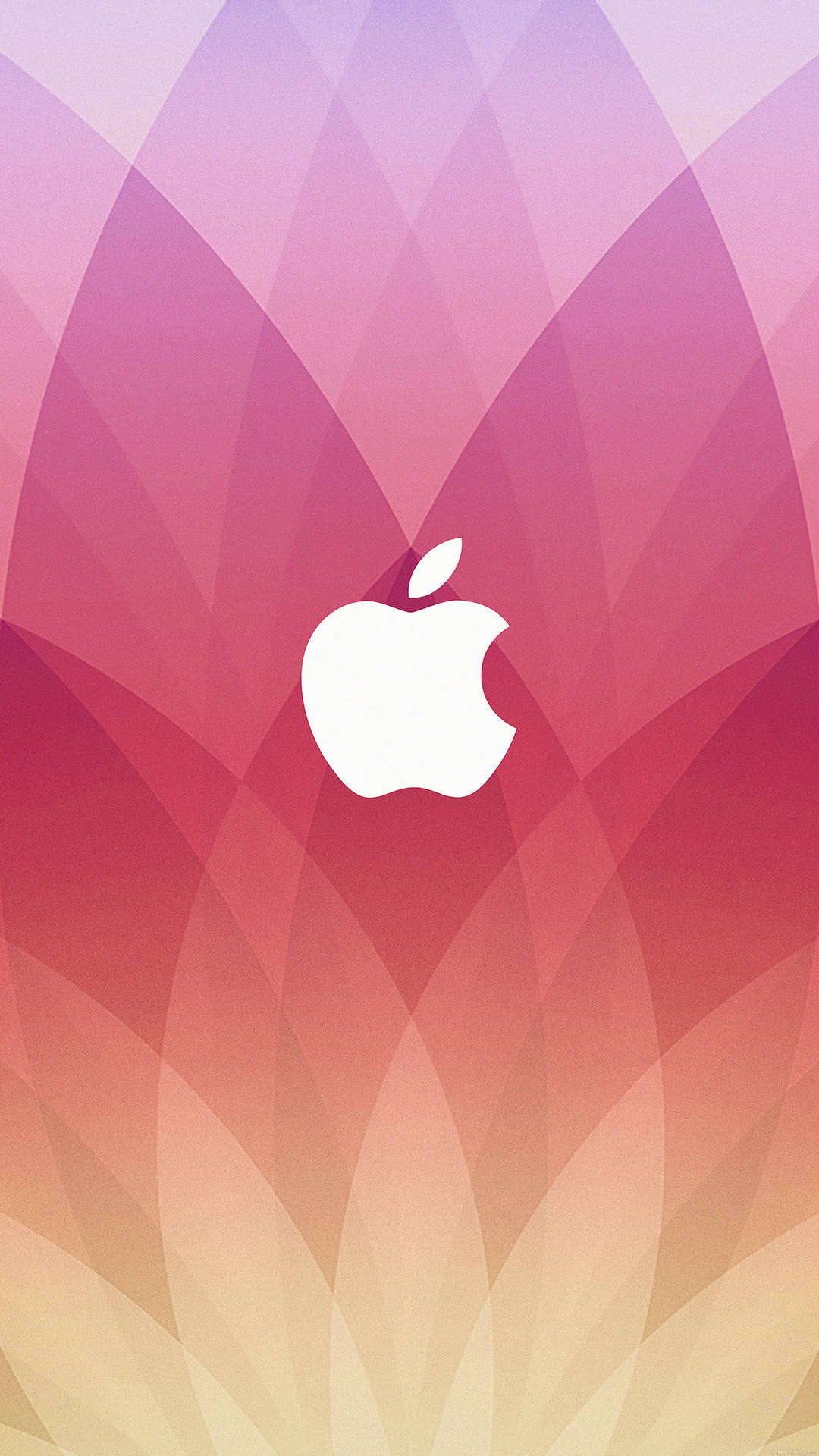 Red And Yellow Gradient Apple Logo Smartphone Background Background