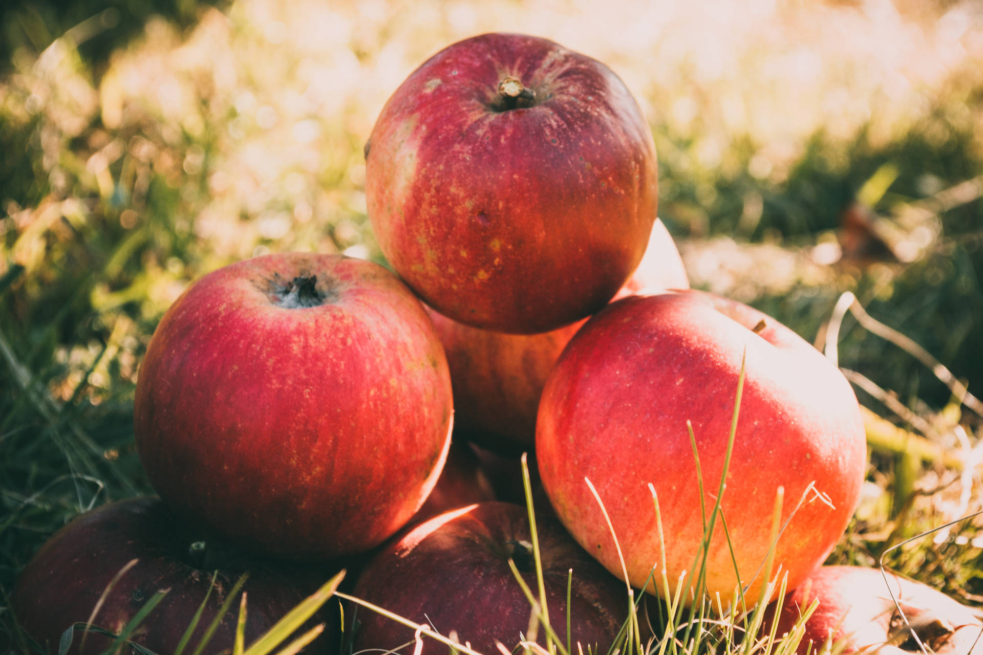 Red Apple Fruits On Grass Field Background