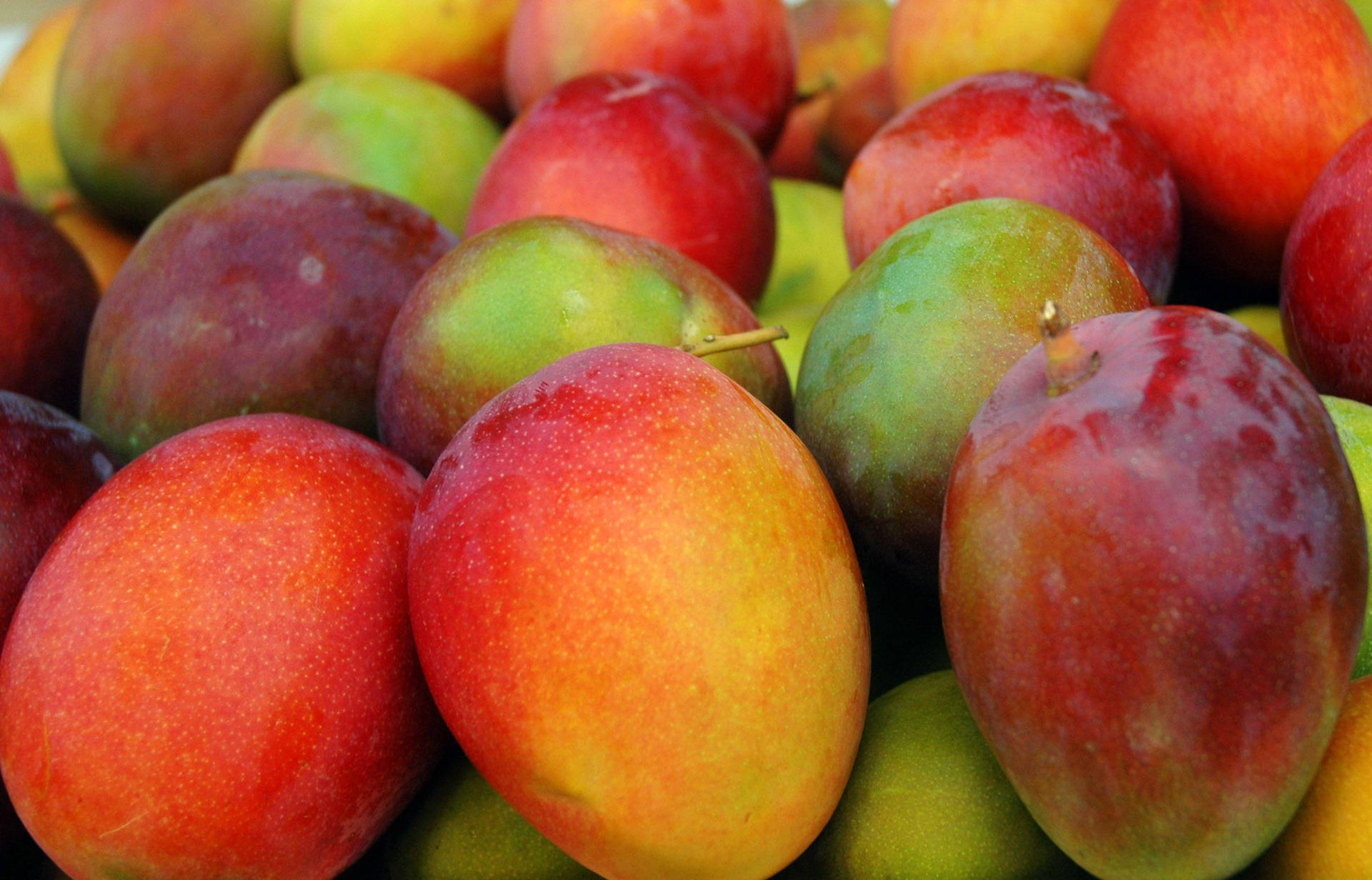 Red Apple-like Mango Fruits Background