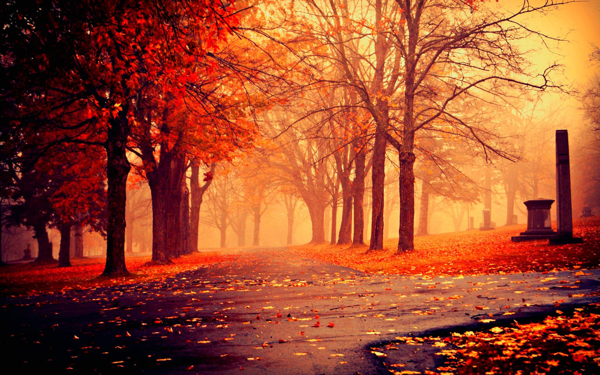 Red Autumn Season Landscape Background