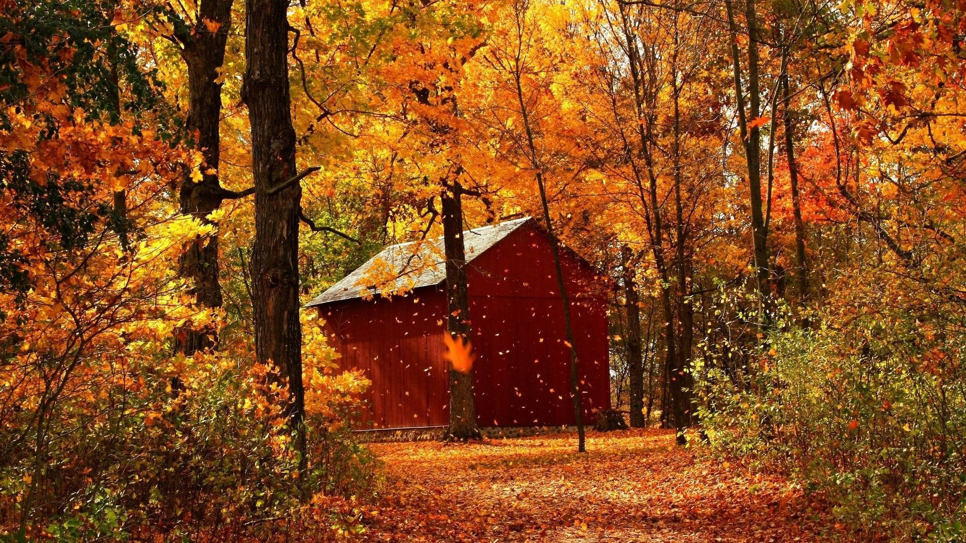 Red Barn Best Autumn Background