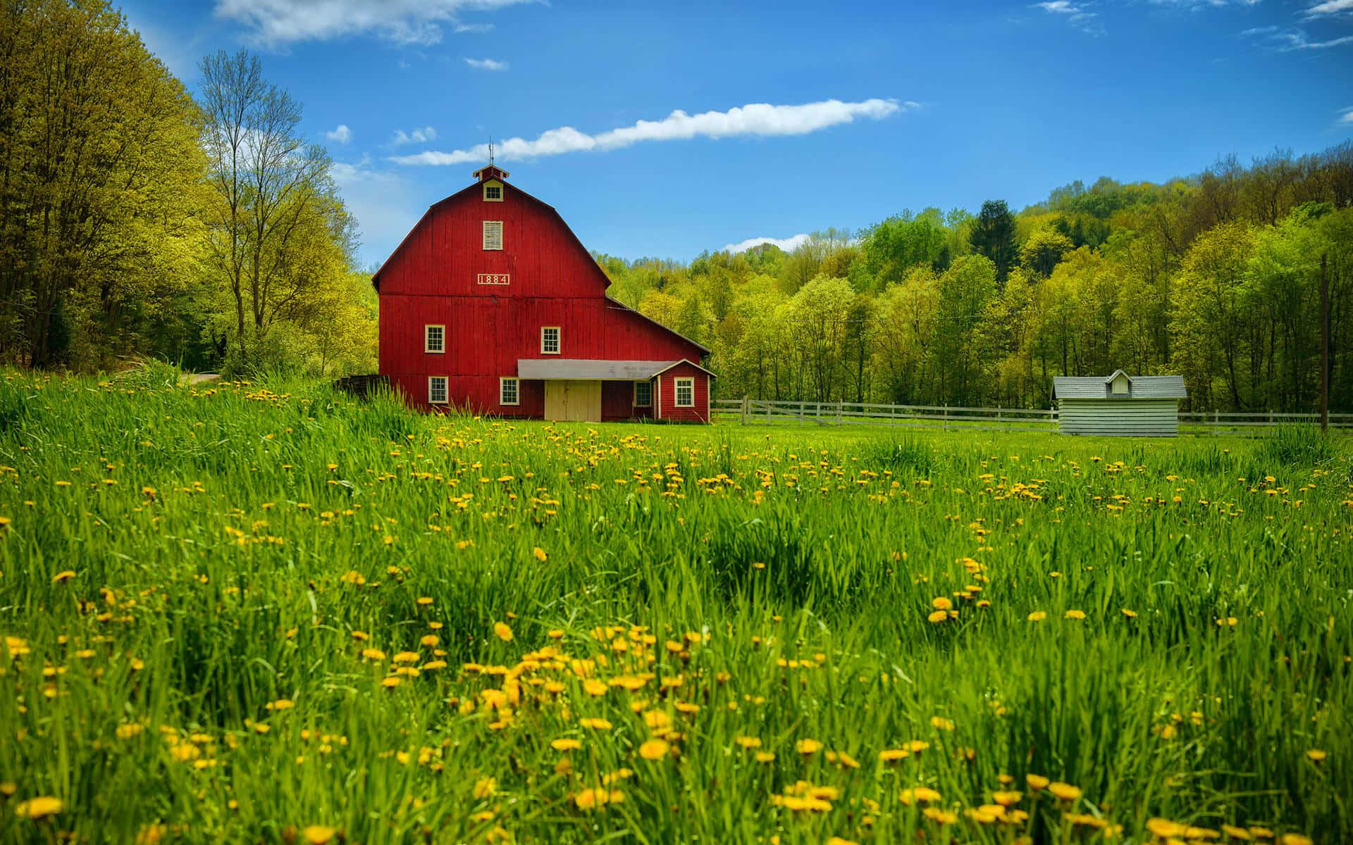 Red Barn In Countryside In Summer