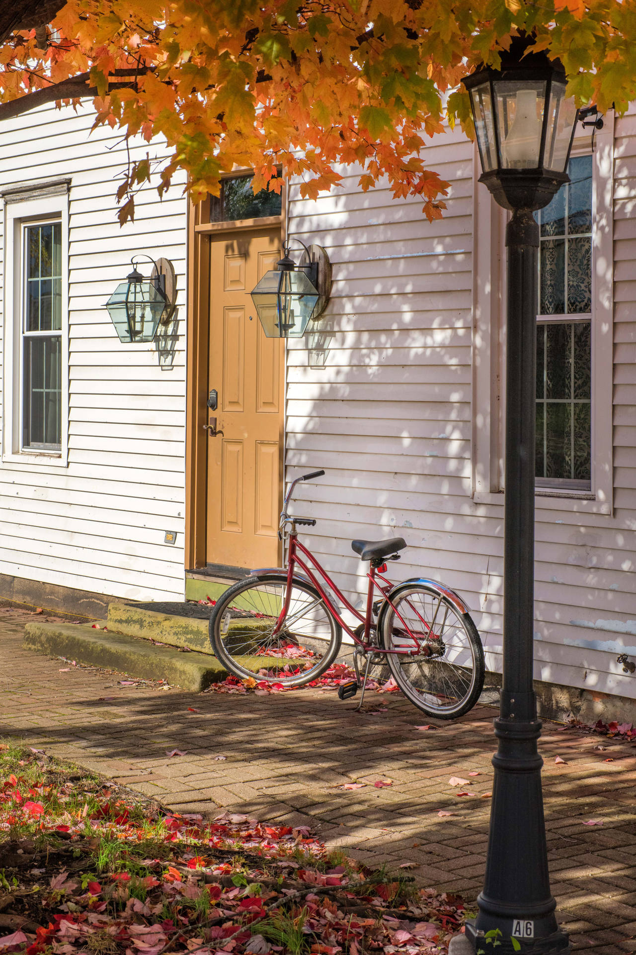 Red Bike Autumn Scene Background