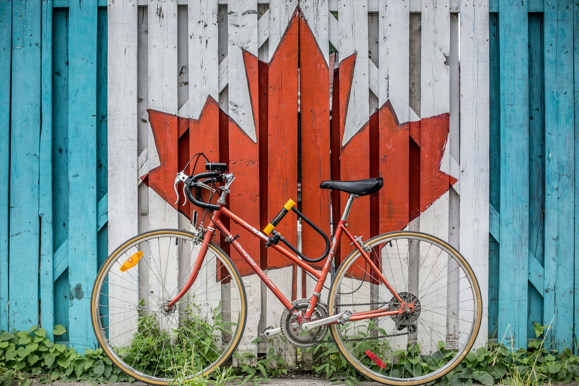 Red Bike Beside Wooden Wall