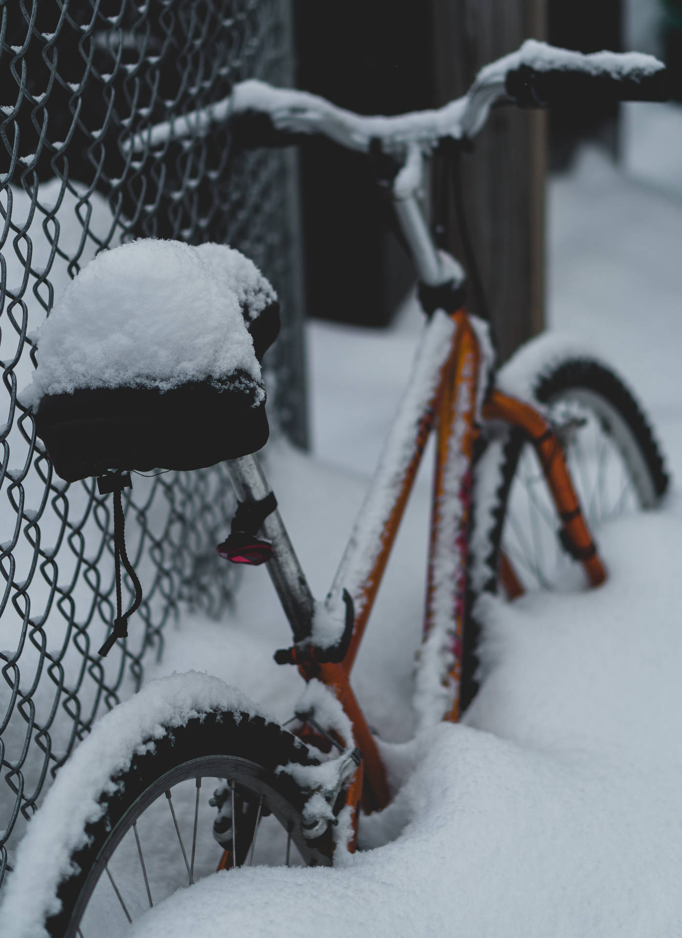 Red Bike Covered In Snow