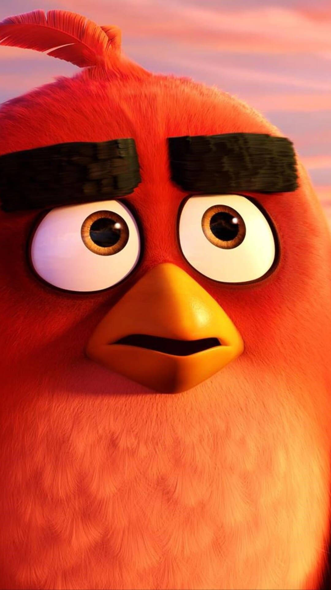 Red Bird From The Angry Birds Movie Background