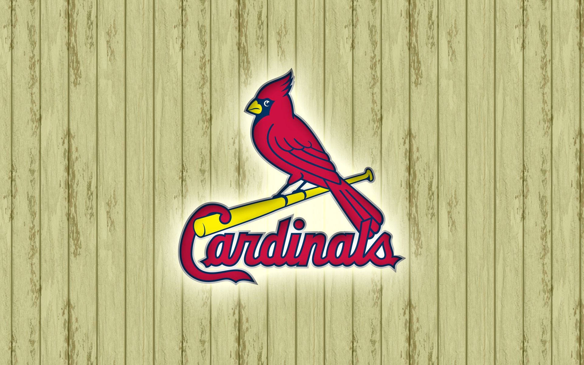 Red Bird St Louis Cardinals Background