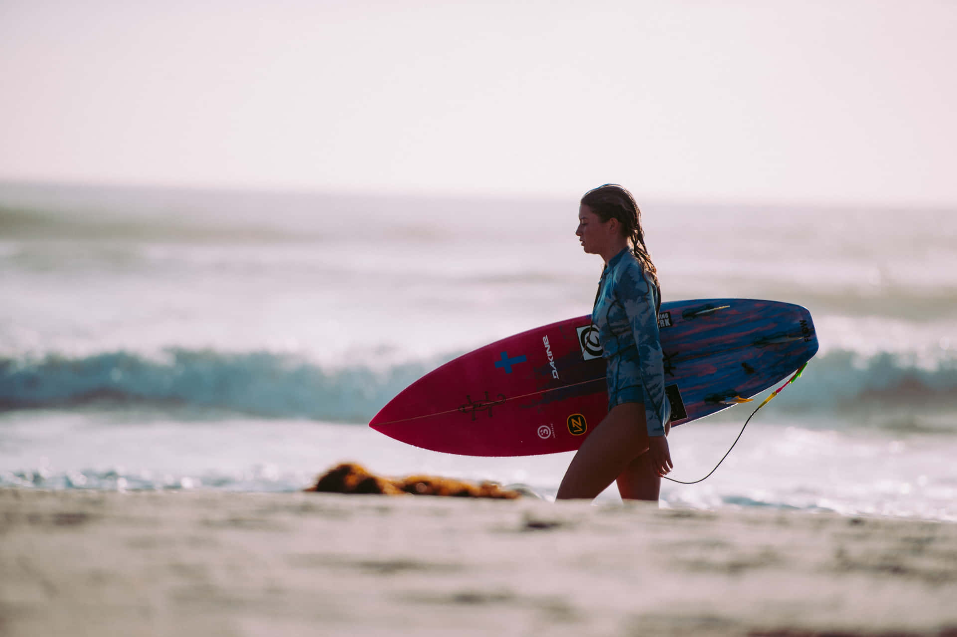 Red Blue Surfboard