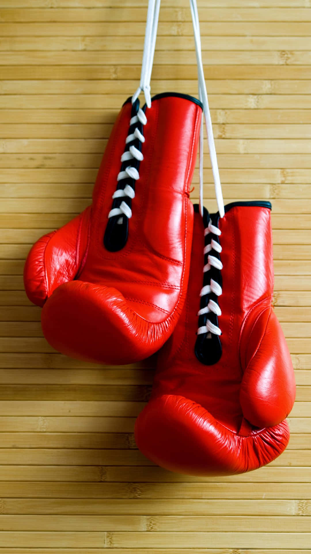 Red Boxing Gloves Hanging Background