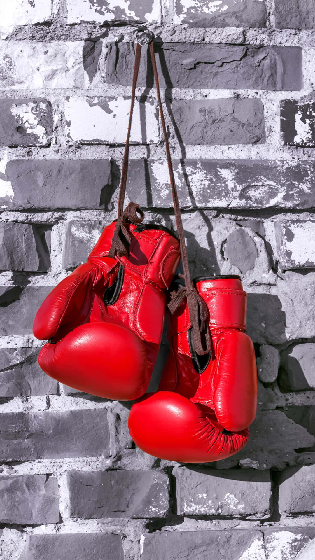 Red Boxing Gloves Hangingon Brick Wall.jpg