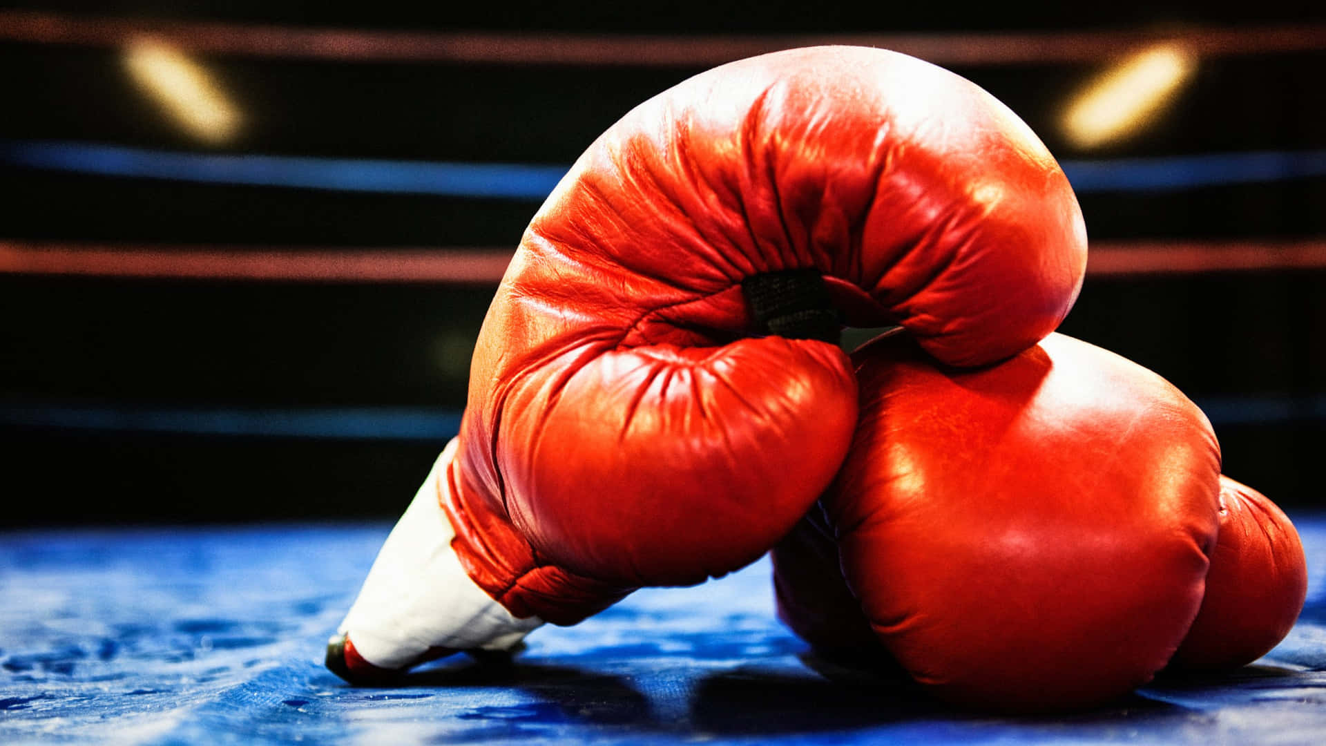 Red Boxing Glovesin Ring Background