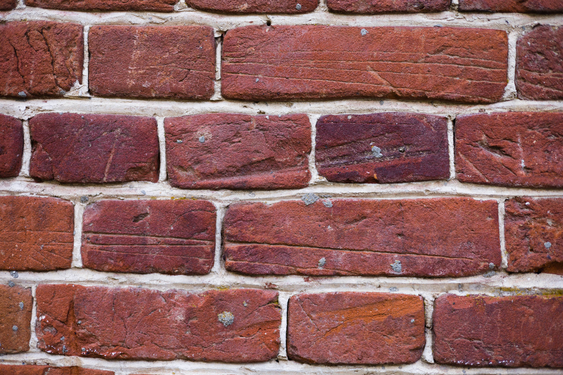 Red Brick Material Desktop Background