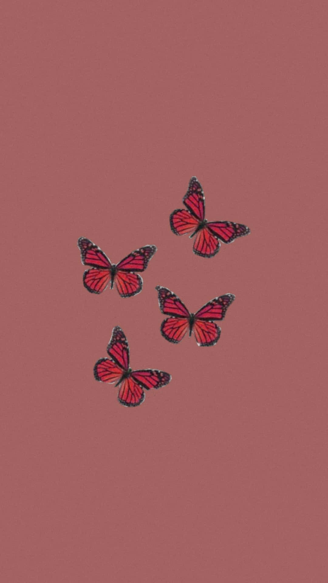 Red Brown Butterfly Aesthetic Background