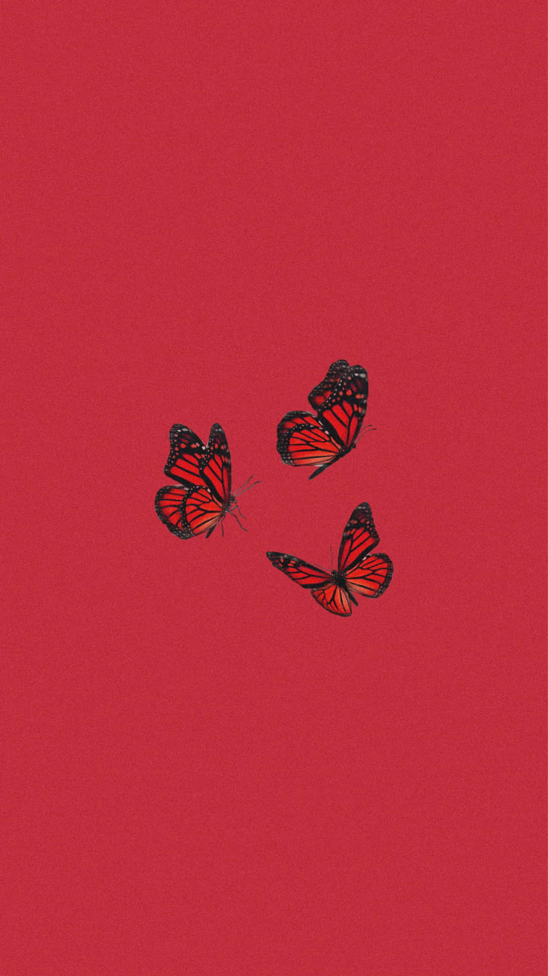 Red Butterfly Minimalist Design Background