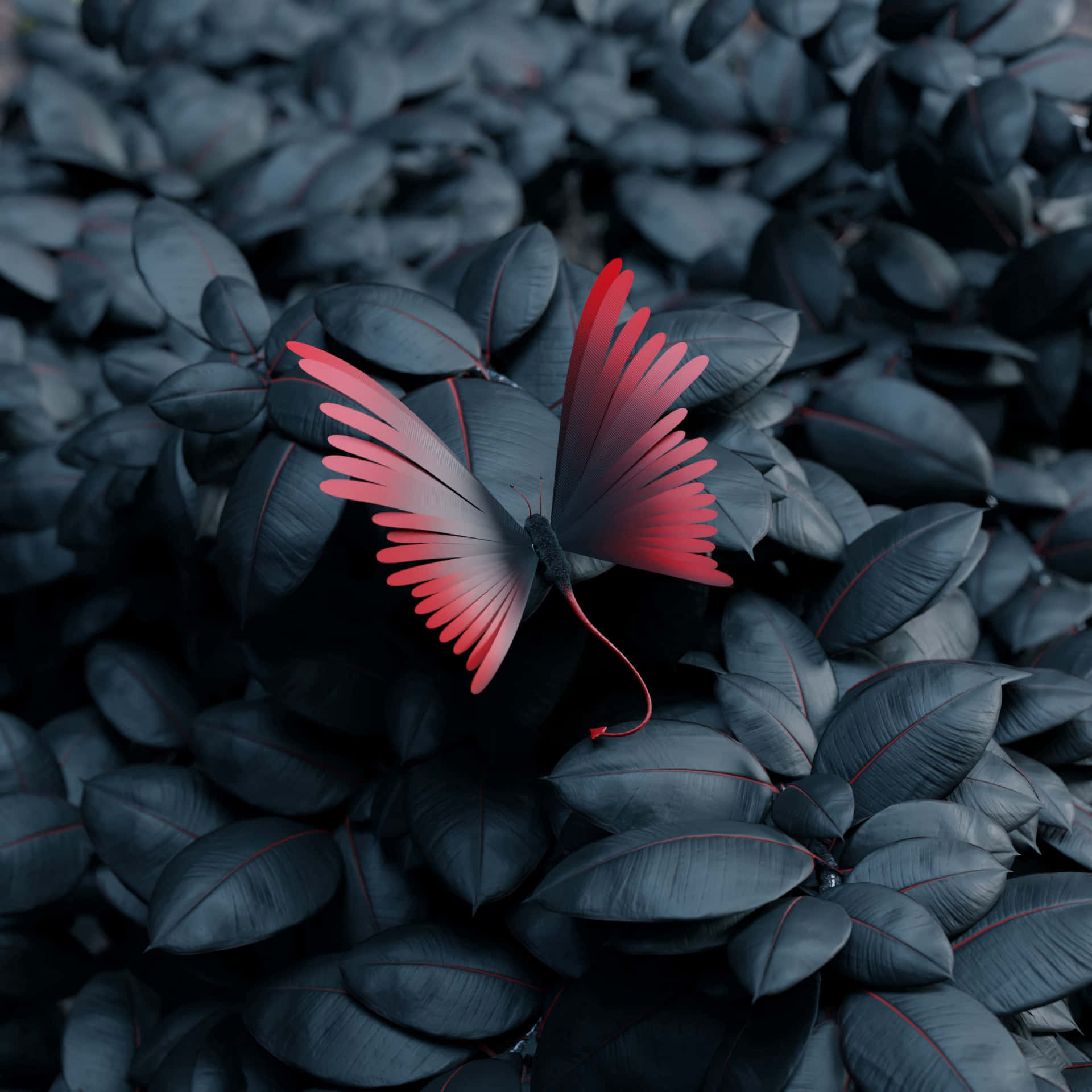 Red Butterflyon Dark Leaves