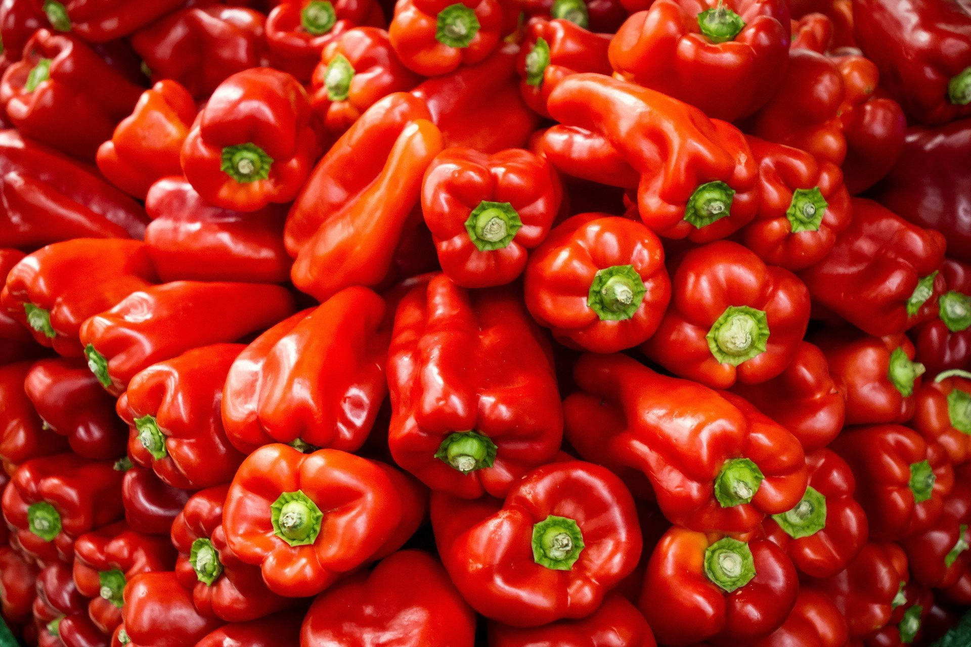 Red Capsicum Bell Pepper Fruits