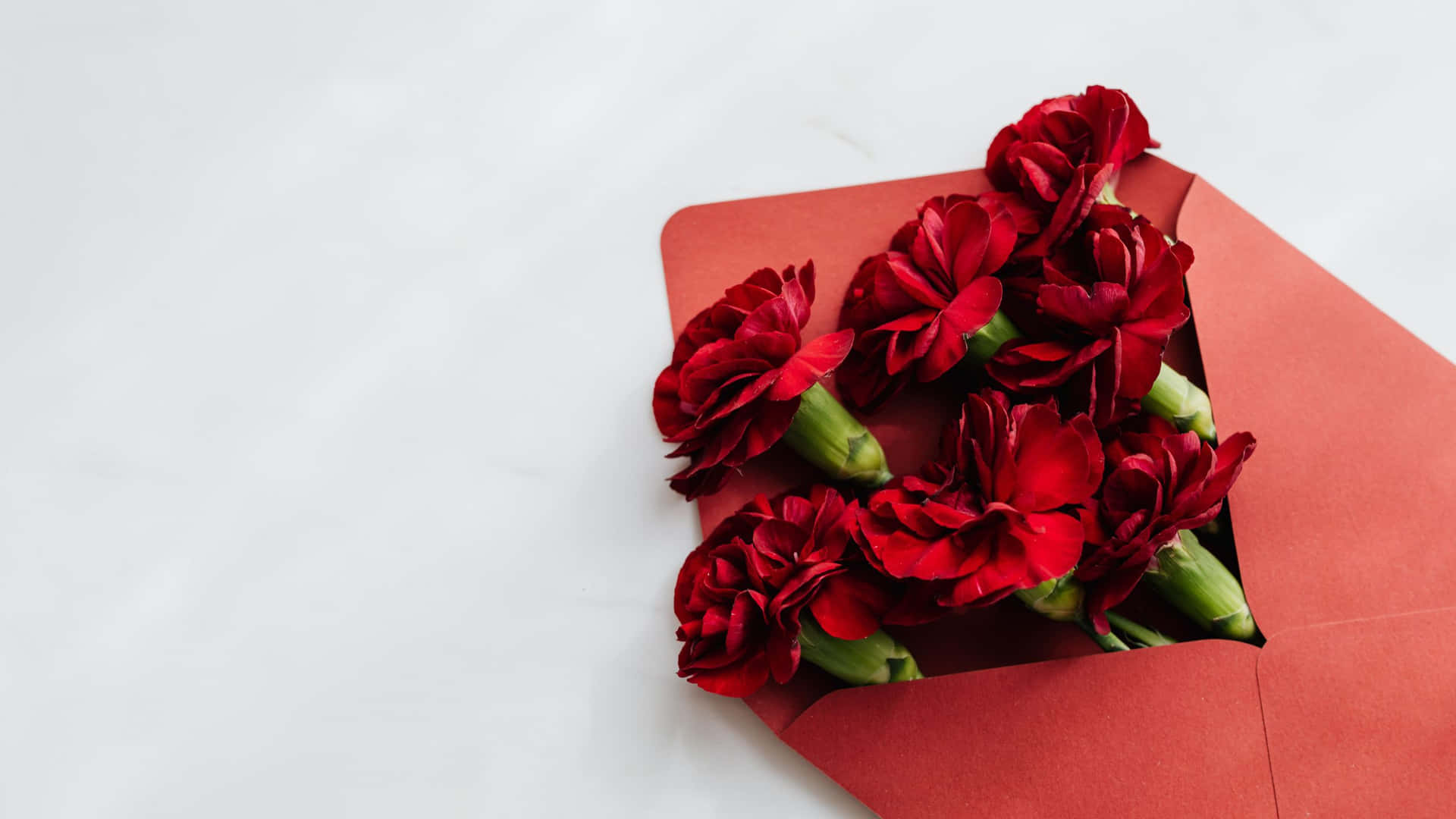 Red Carnations In An Envelope On A White Surface Background