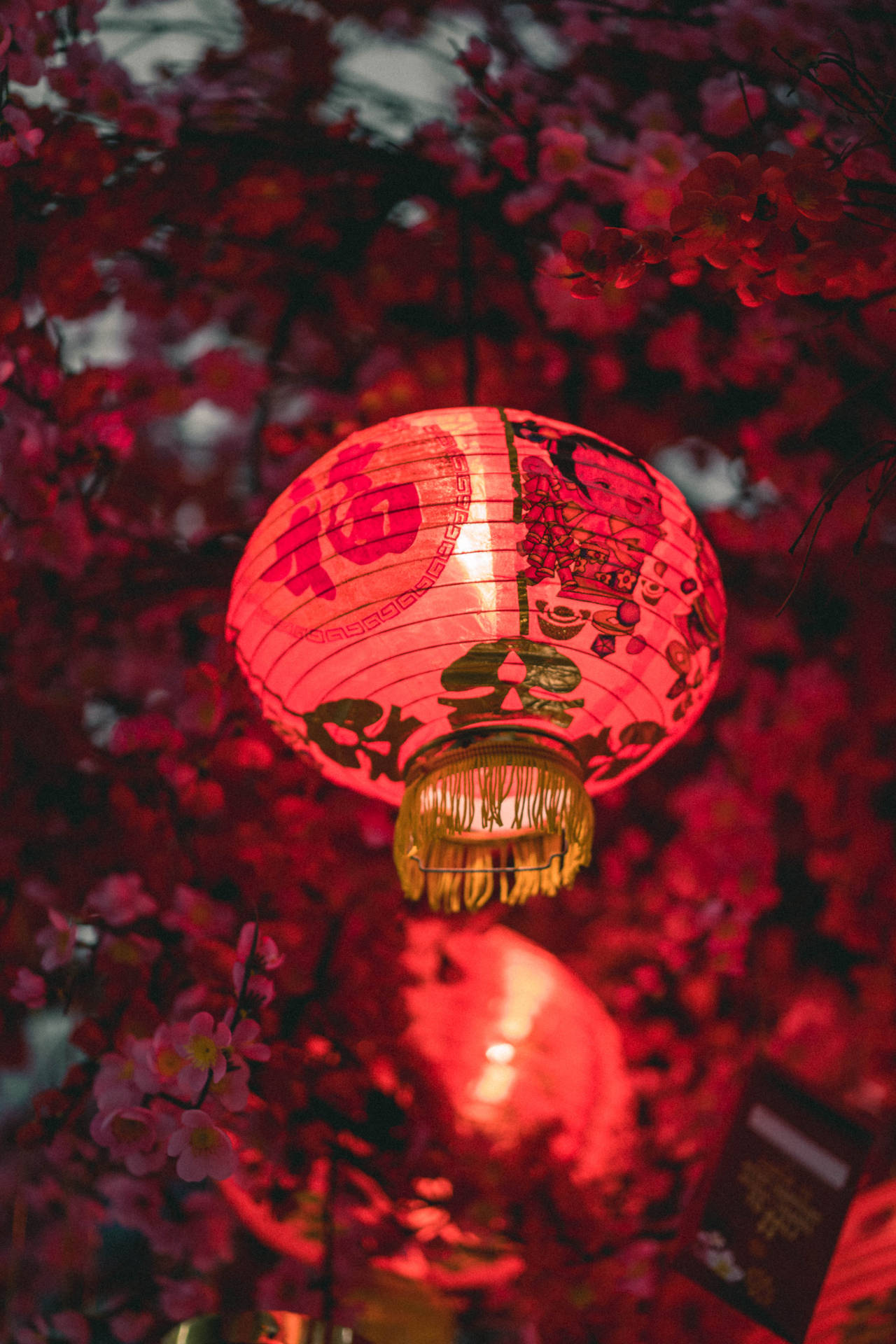 Red Chinese Lantern Background