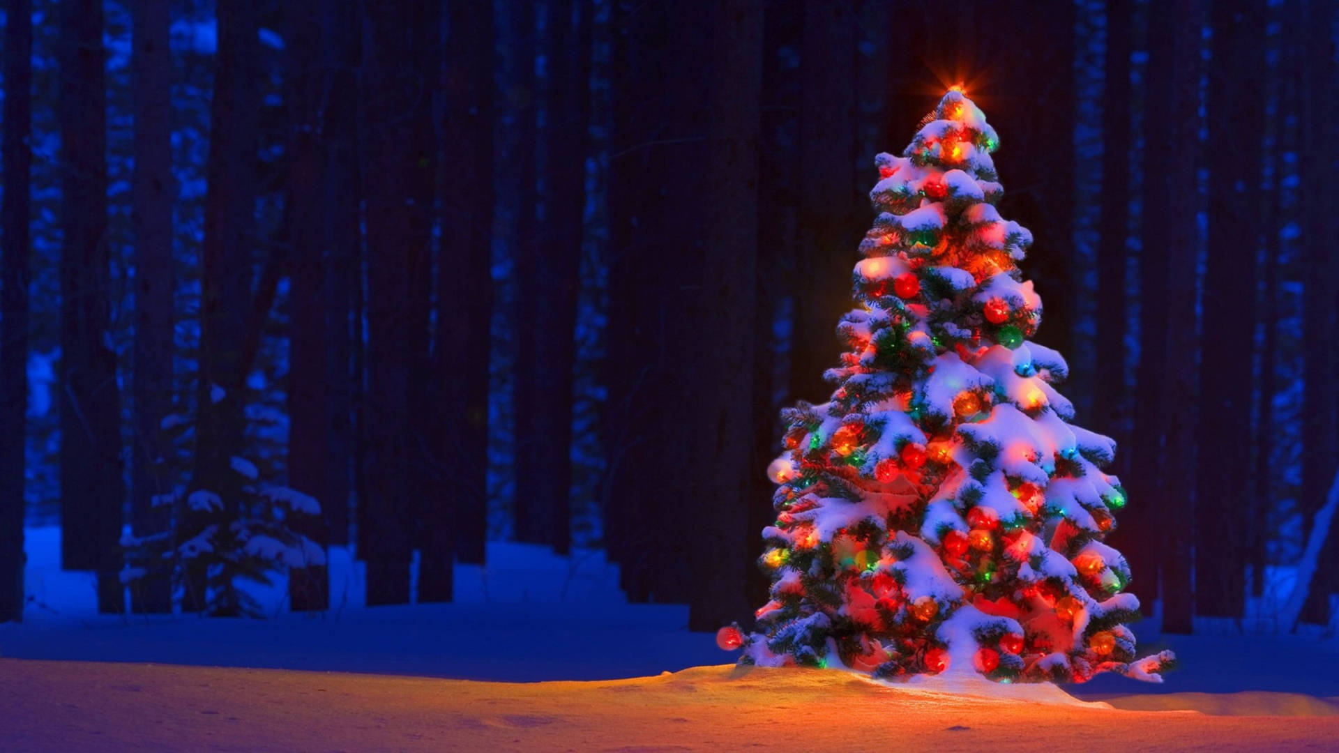 Red Christmas Forest Background