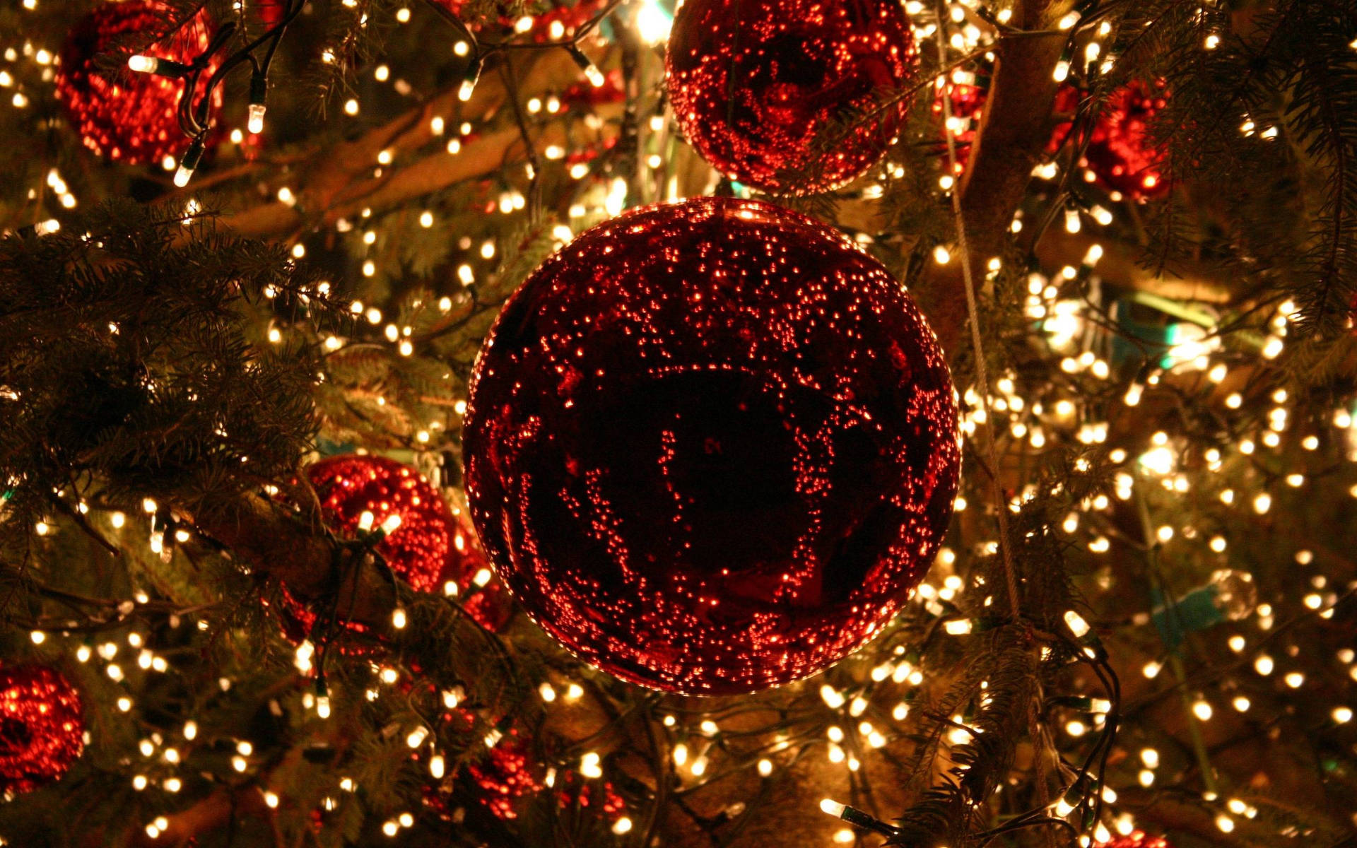 Red Christmas Lights Dangling From A Stocking Cap. Background