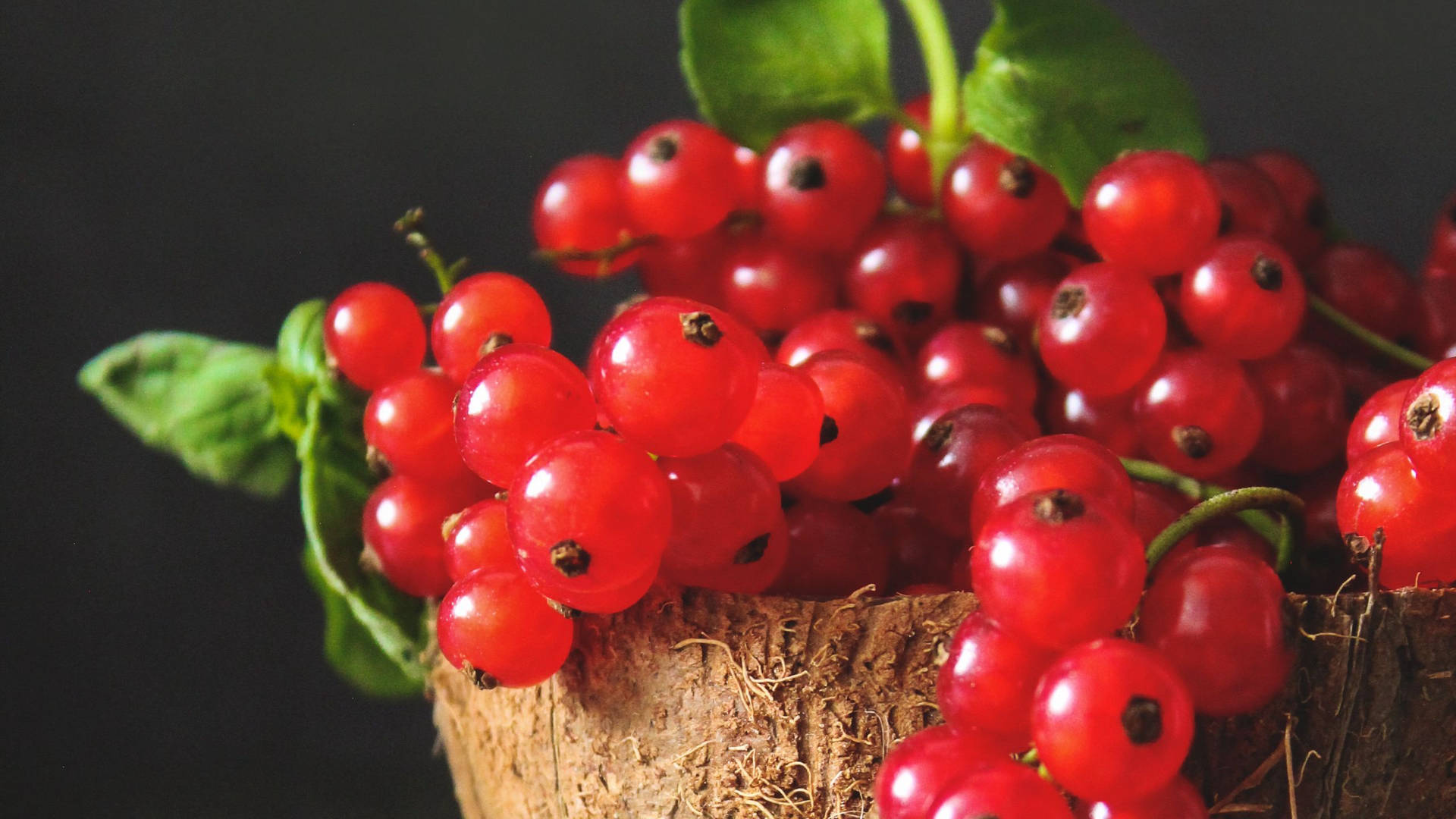 Red Currant Fruits Coconut Bowl