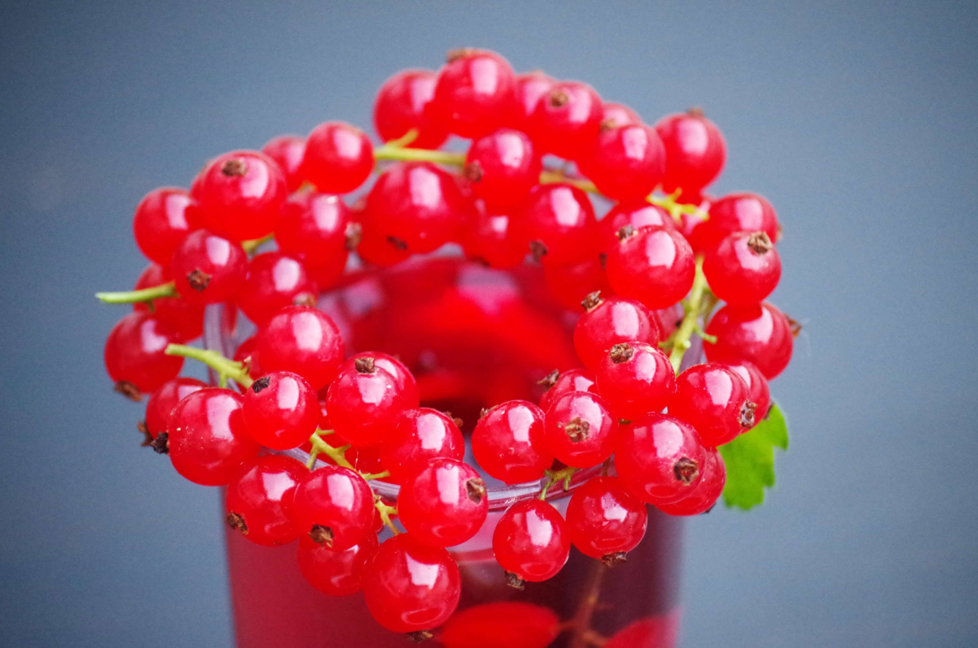 Red Currant Fruits Glass Drink