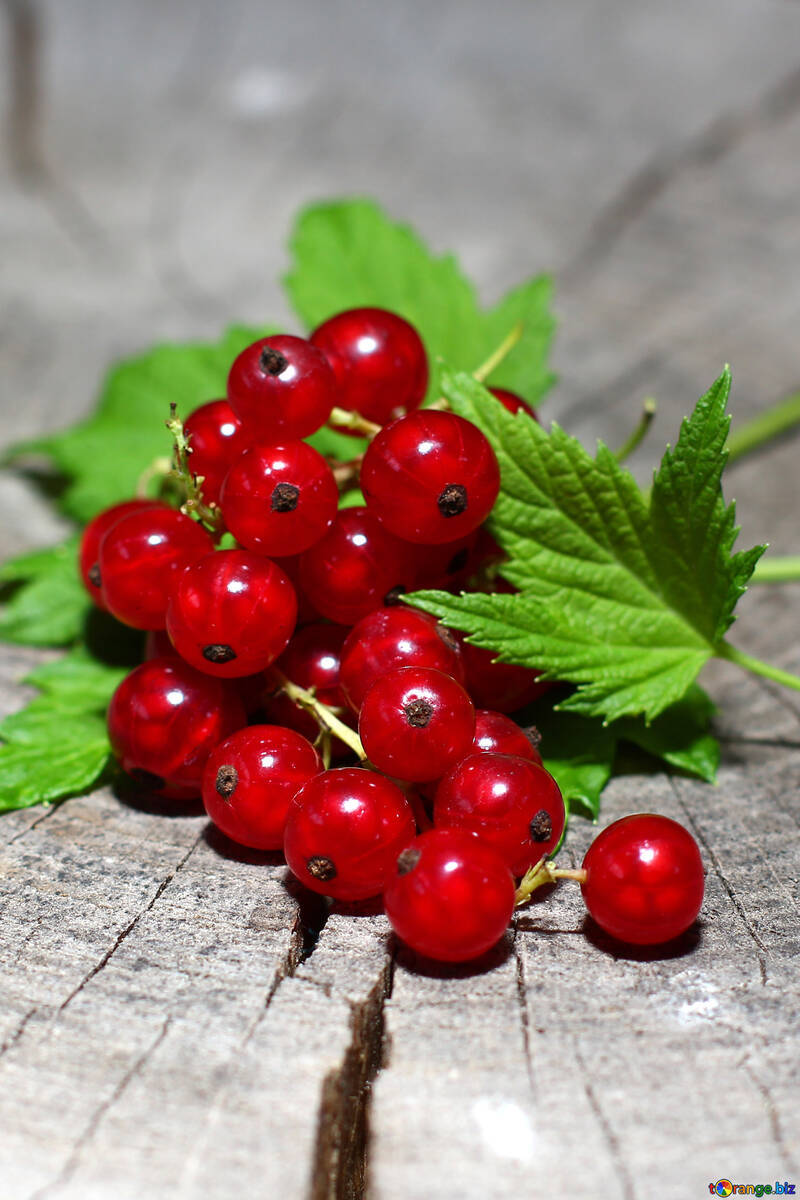 Red Currant Fruits Healthy Food Dessert Background