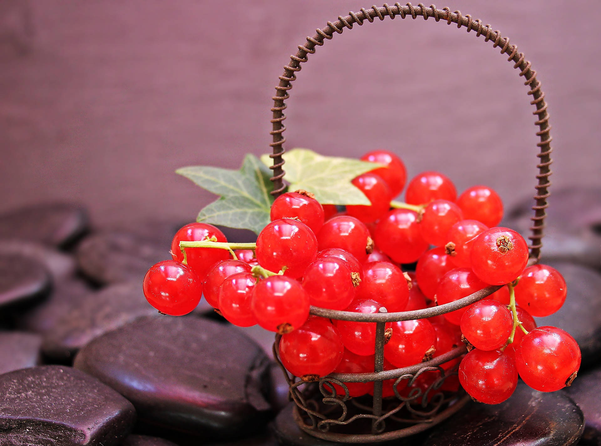 Red Currant Sweet Fruit Basket