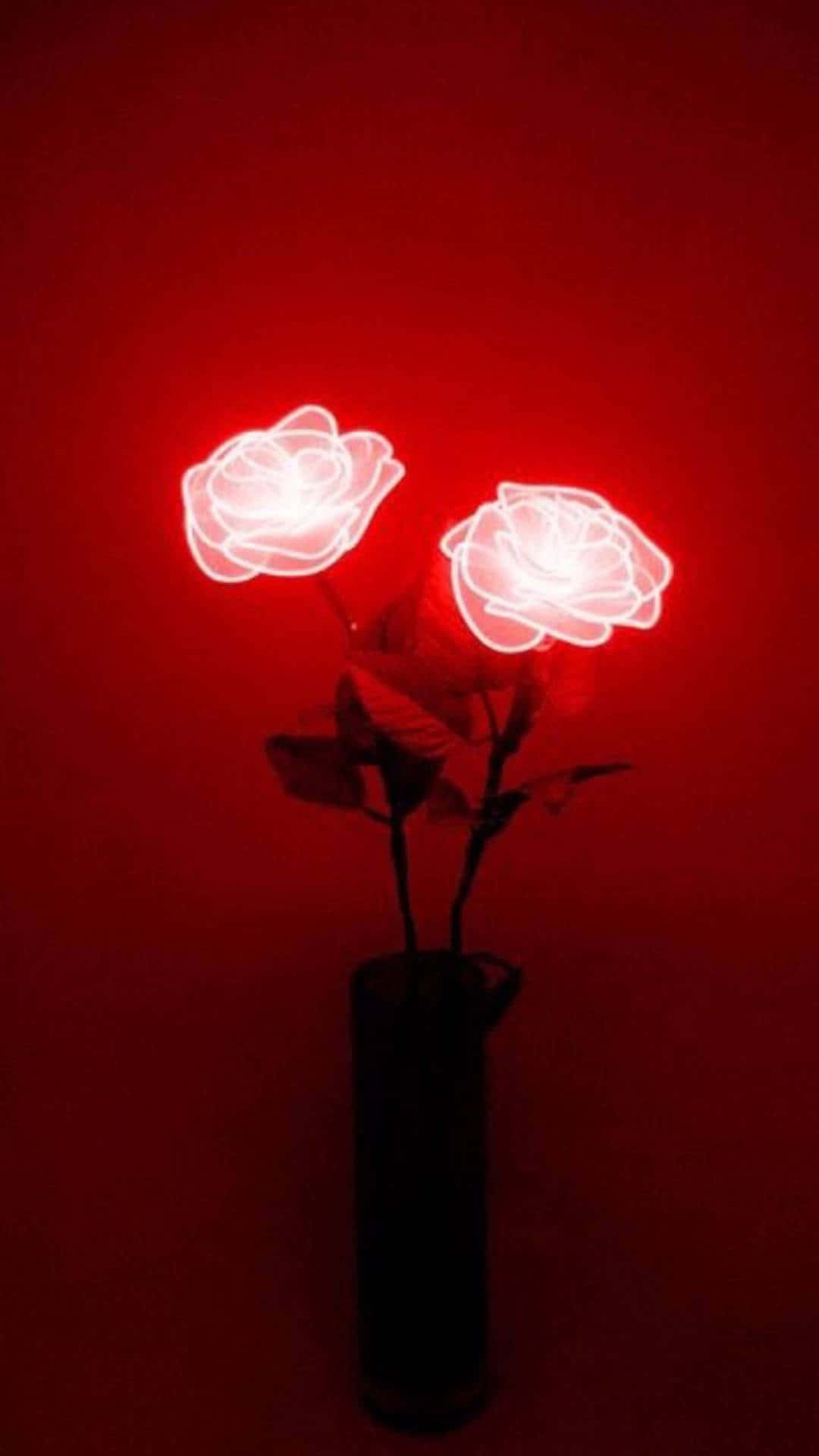 Red Cute Aesthetic Roses Background