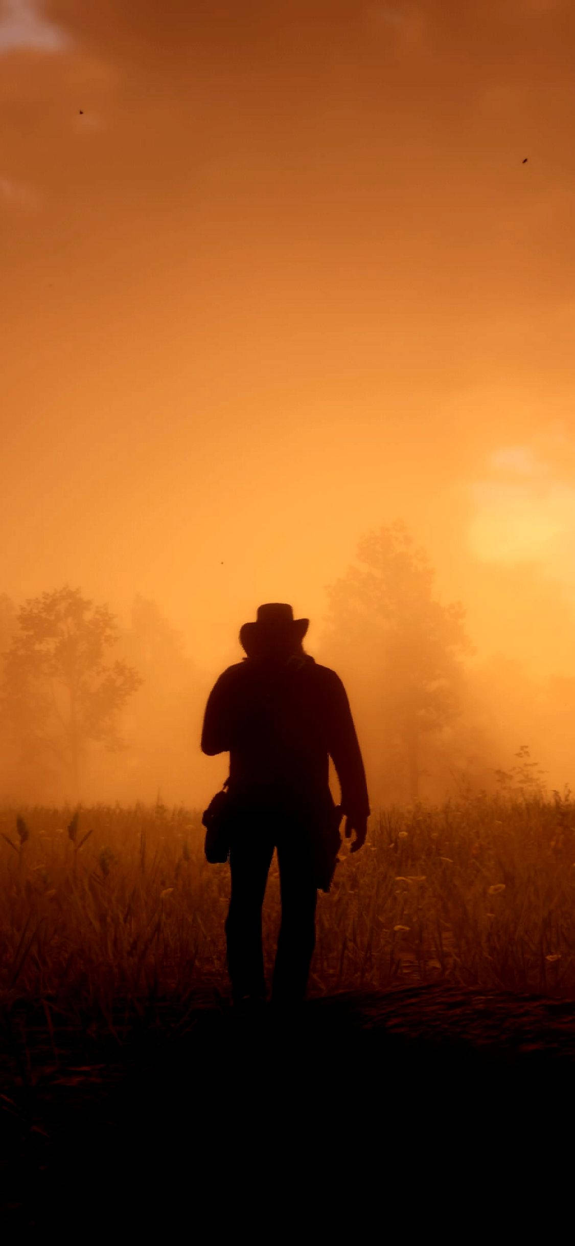 Red Dead Iphone Sunset Silhouette Background