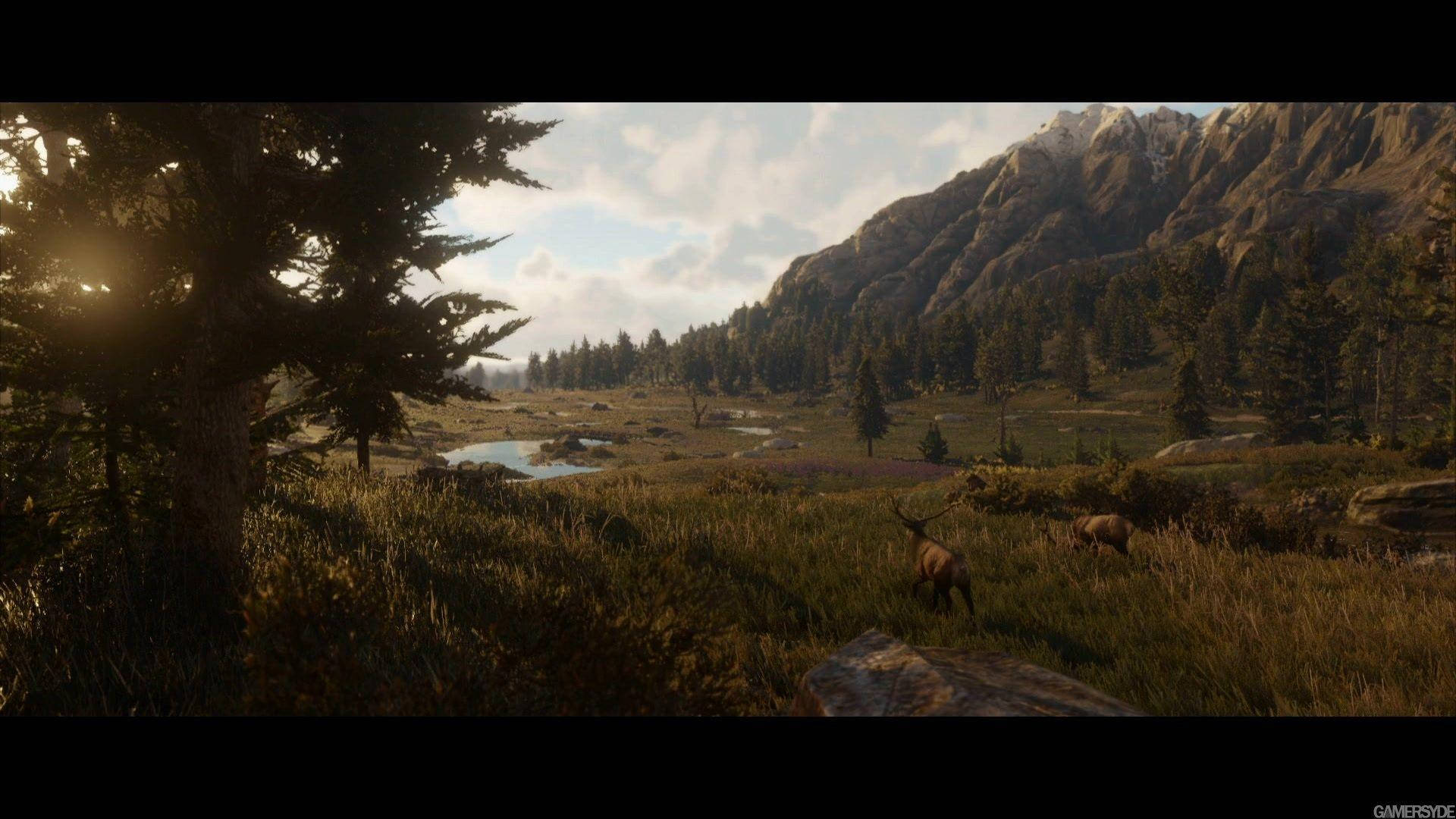 Red Dead Redemption 2 4k Field