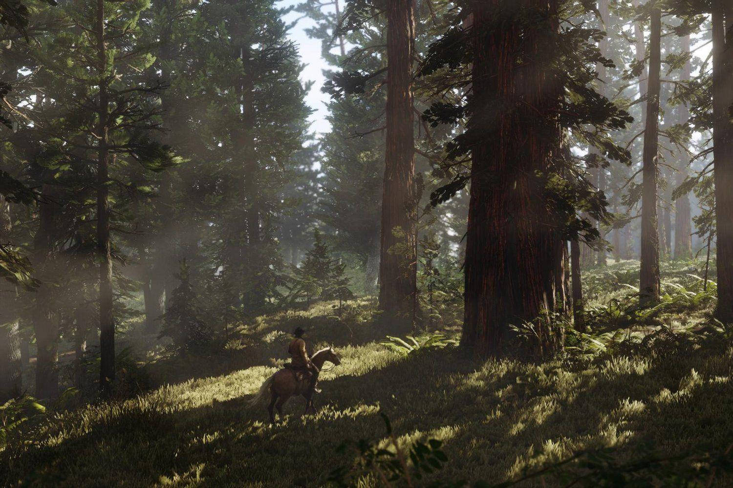 Red Dead Redemption 2 4k Forest