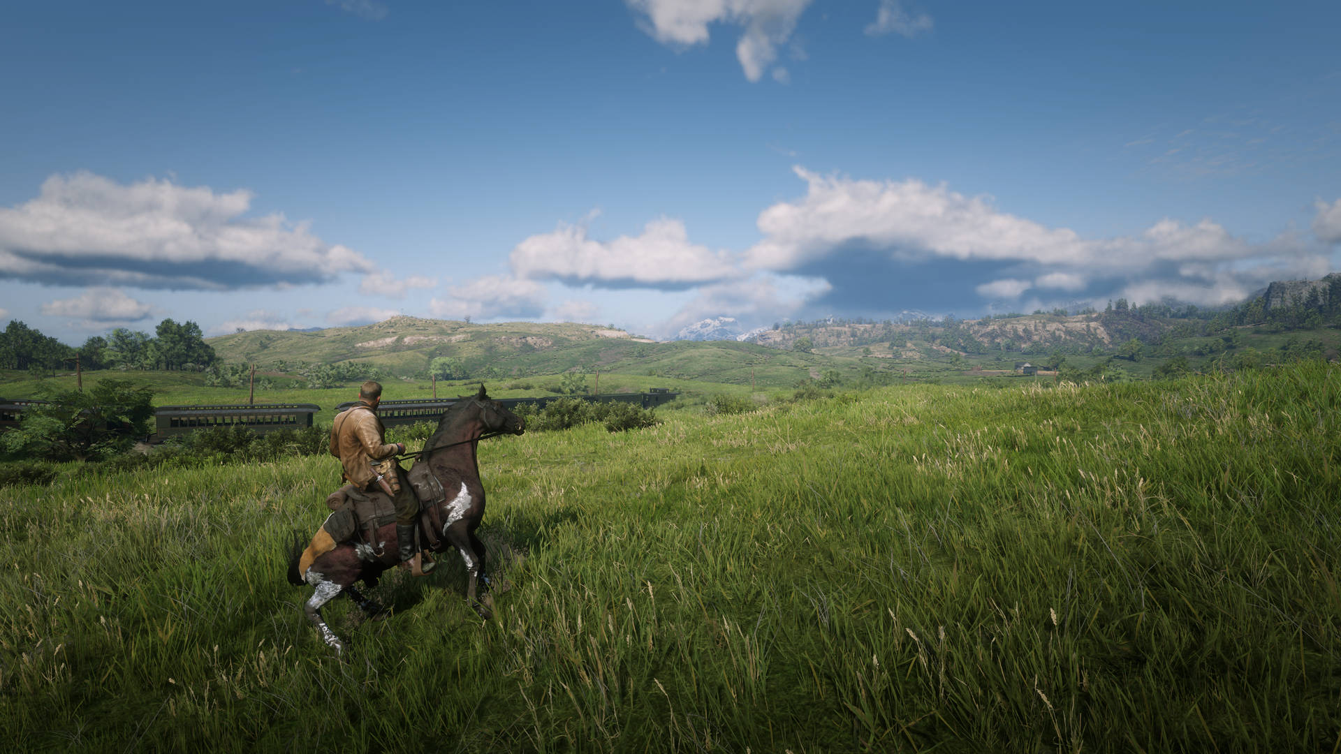 Red Dead Redemption 2 Desktop Grassland Background