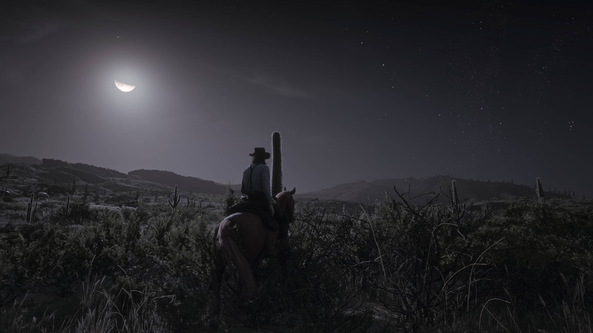 Red Dead Redemption 2 Screenshot Background