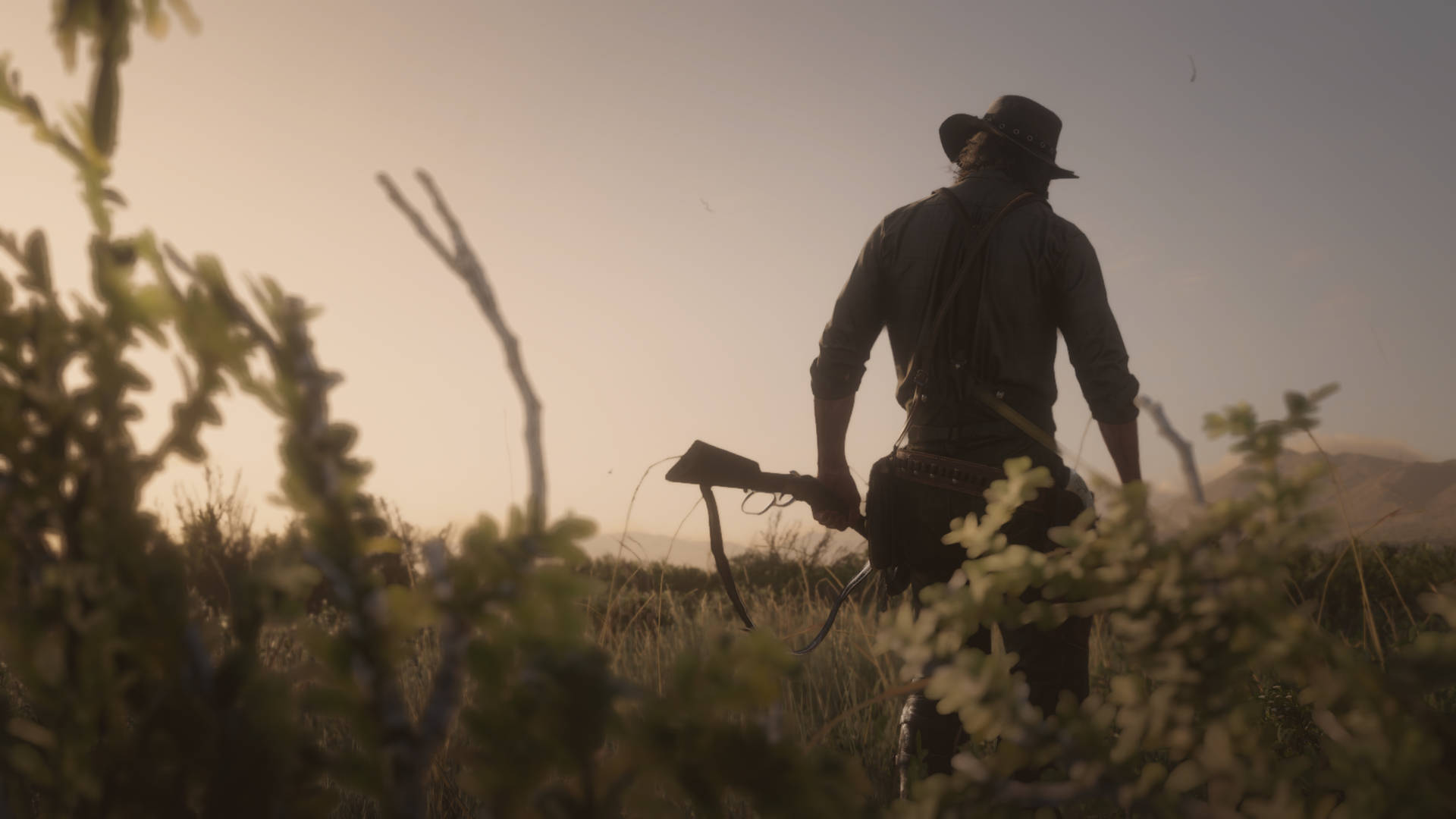 Red Dead Redemption 2 - Screenshot Background