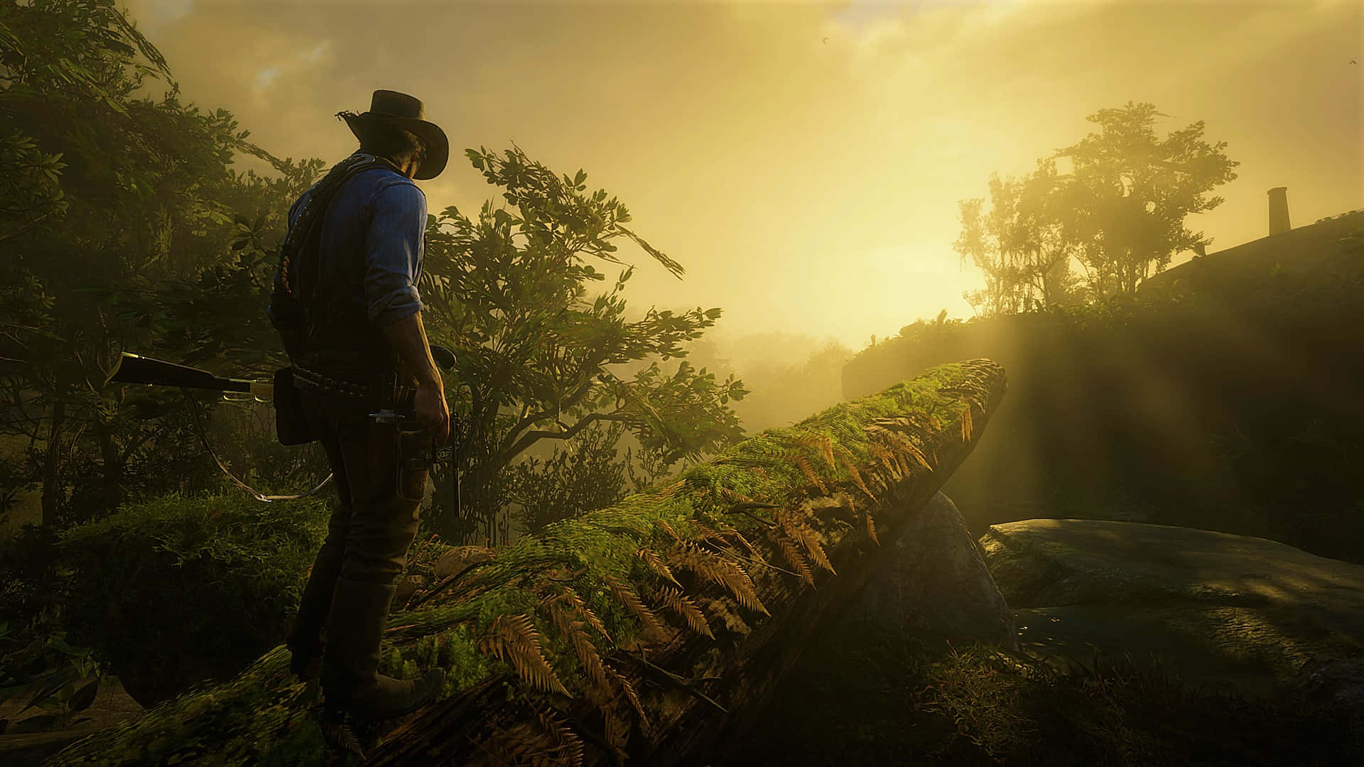Red Dead Redemption2 Sunset Exploration Background