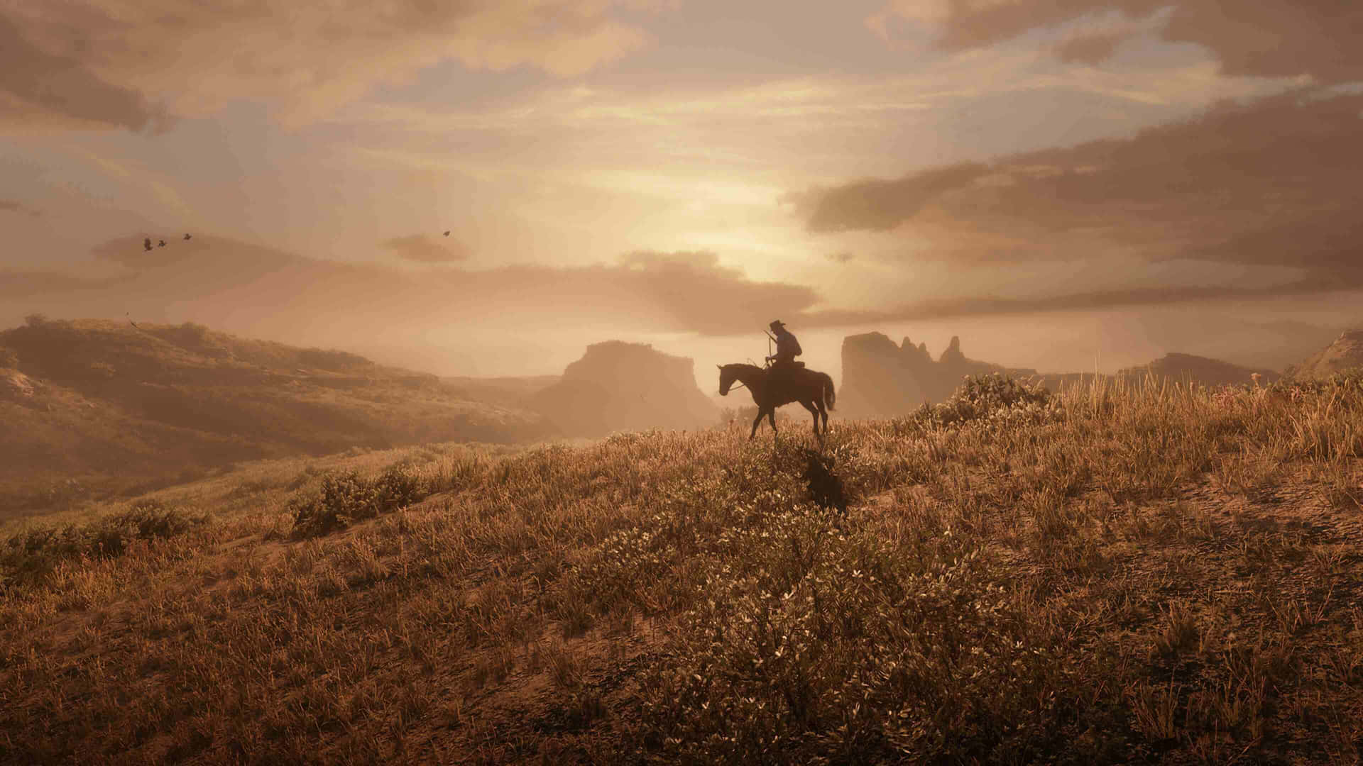 Red Dead Redemption2 Sunset Ride Background