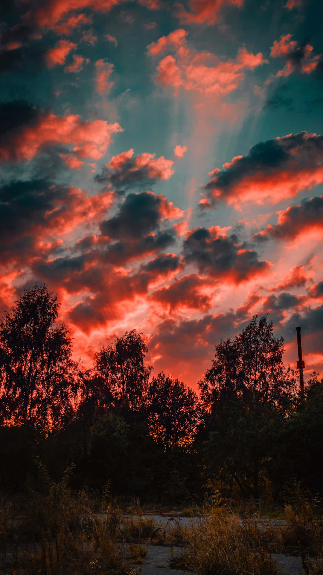 Red Evening Sky With Clouds