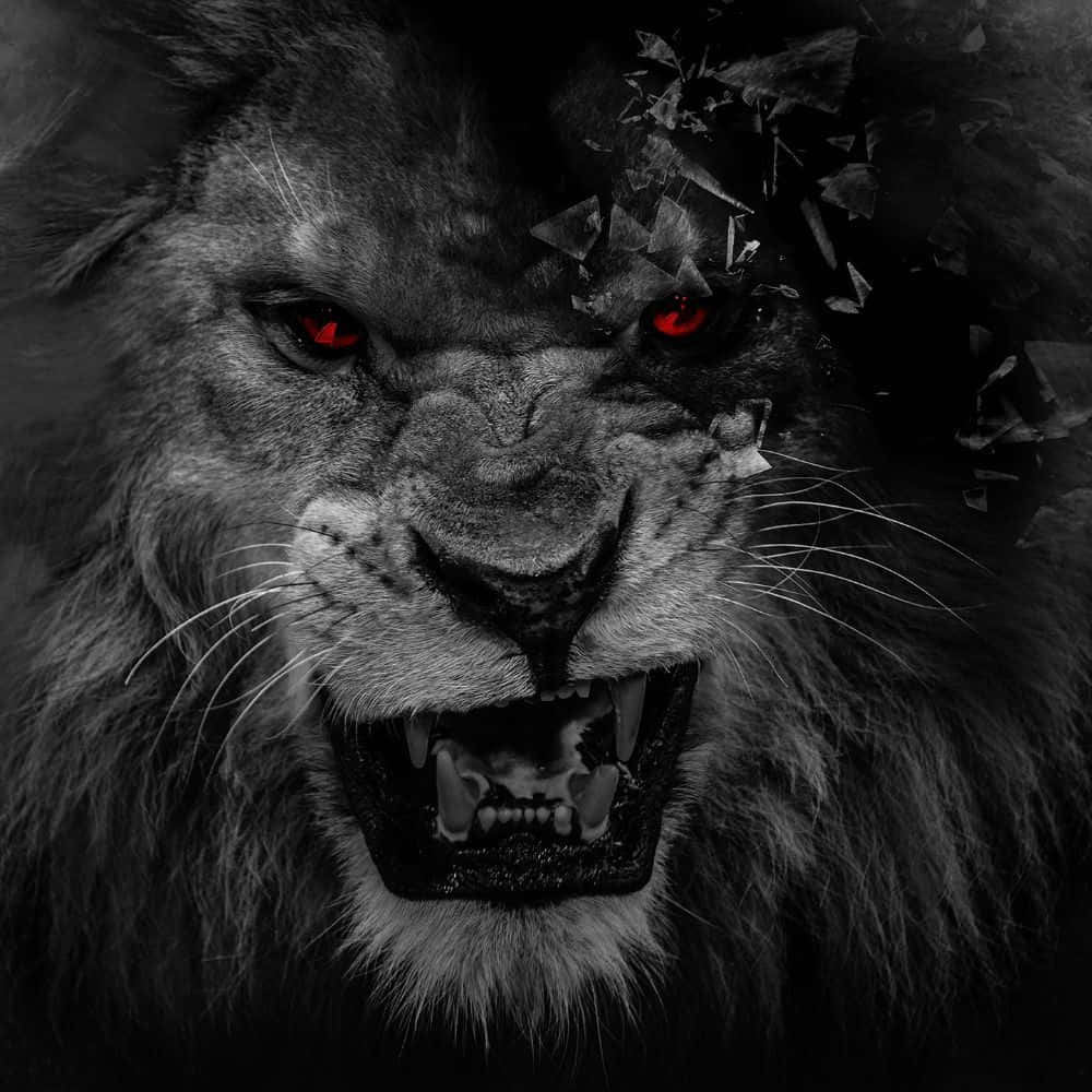 Red Eyes Black And White Lion Background