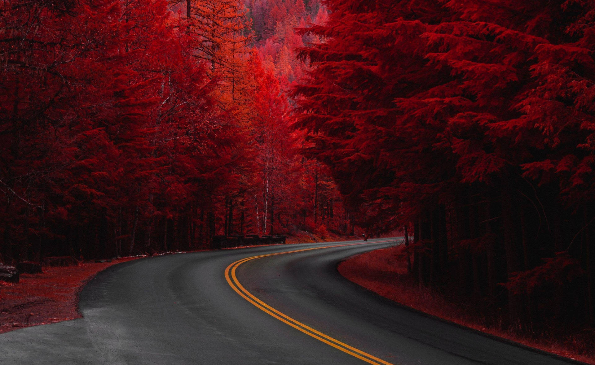 Red Fall Aesthetic Road