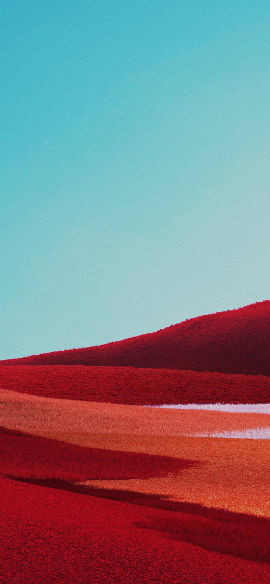 Red Field Google Pixel 4 Background