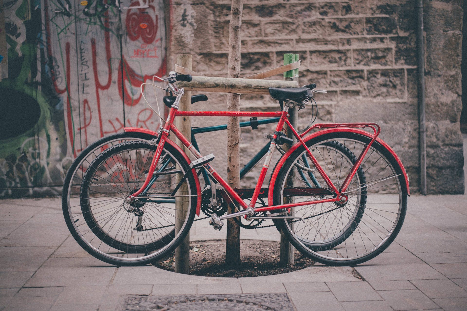 Red Fixie Bicycle Background