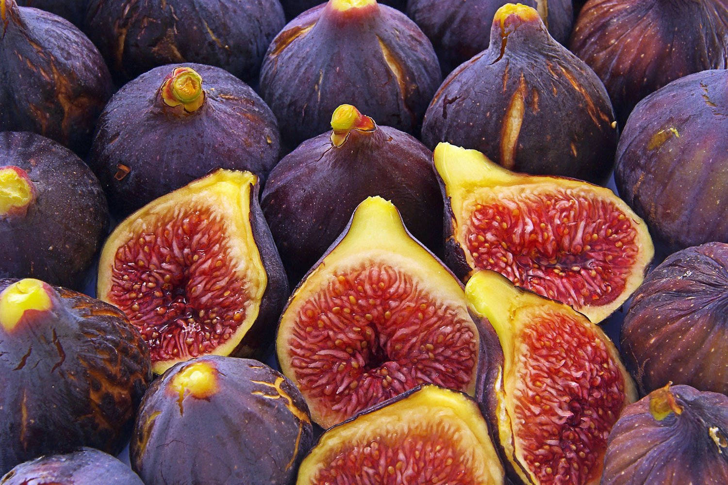 Red Flesh Figs Background