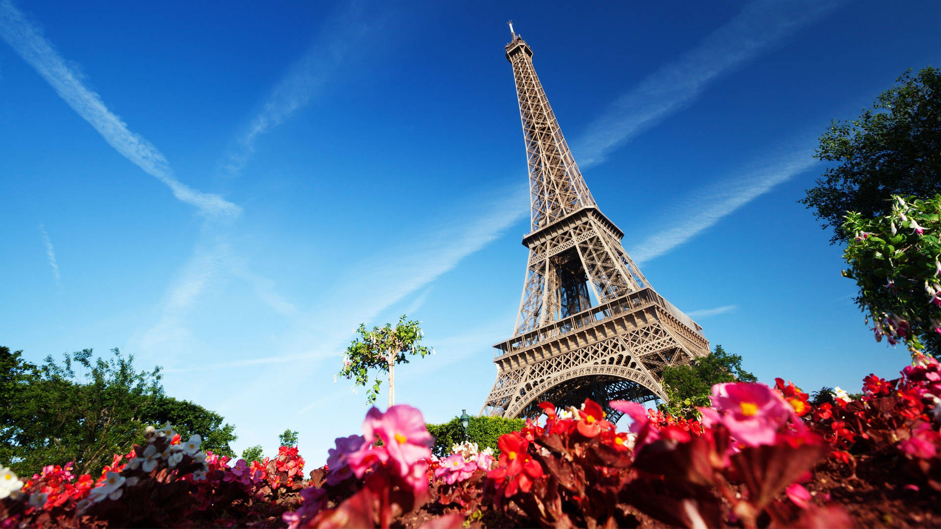 Red Flowers Eiffel Tower Paris Background