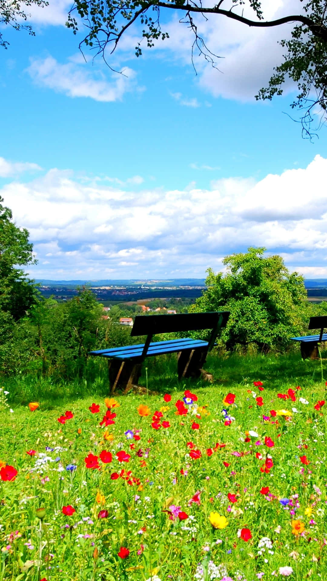 Red Flowers Nature Green Field