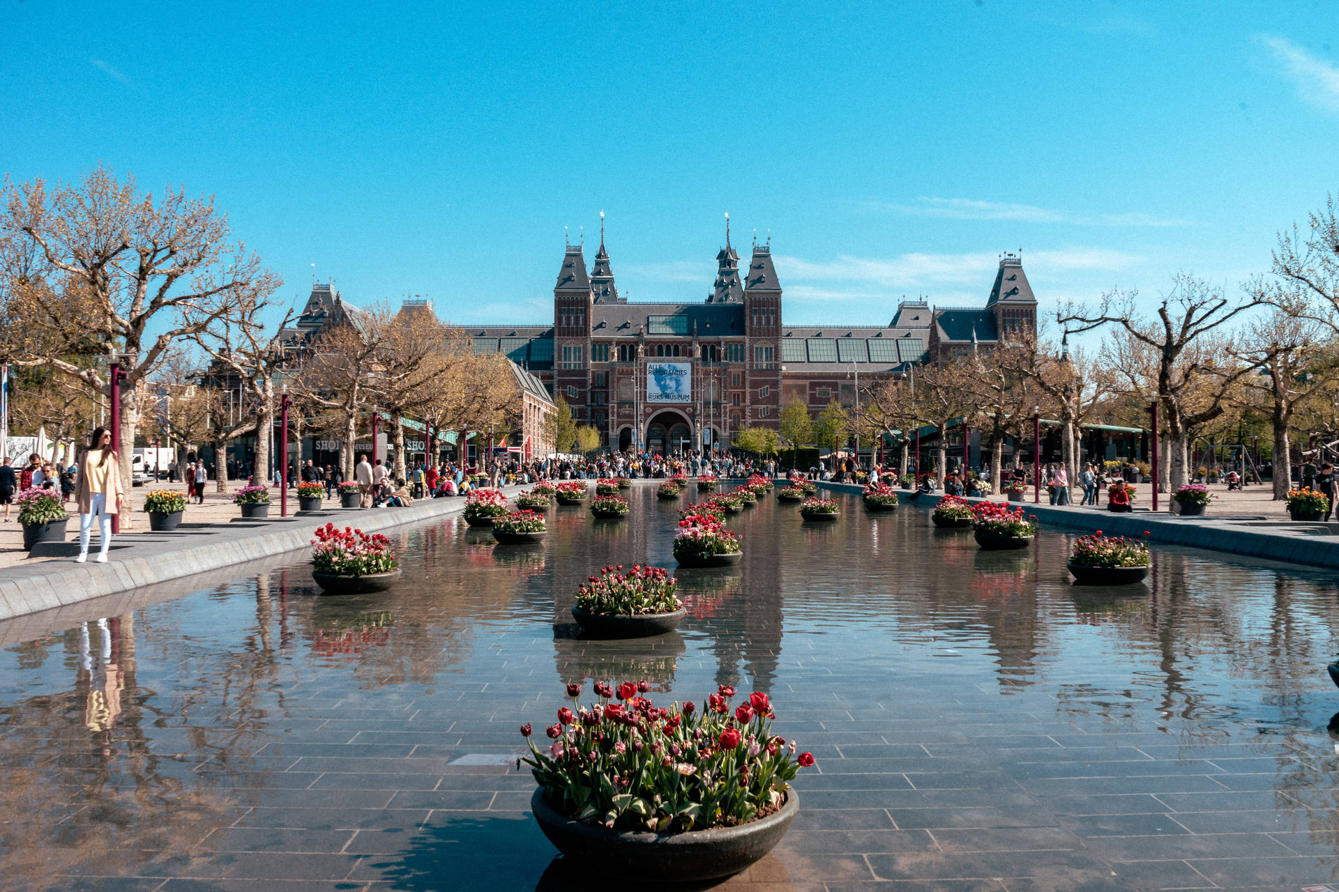 Red Flowers On Rijksmuseum Background